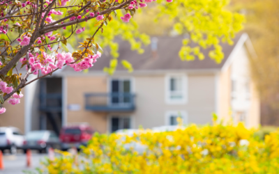 Preparing Your Home for Spring: A Refreshing Guide